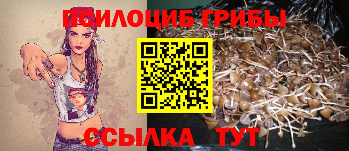 Галлюциногенные грибы прущие грибы  Вход с VPN  Строитель 